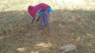मजबूत देसी लंड वाला बॉयफ्रेंड ने खेत में ही धप्पाधप्पा कर दिया अपनी गर्मागर्म चुदाई